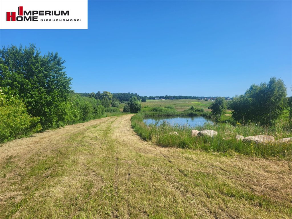 Zapraszam do zakupu działki 23 300 m² z własnym stawem Przyjaźń, Mała Przyjaźń  23 300m2 Foto 1