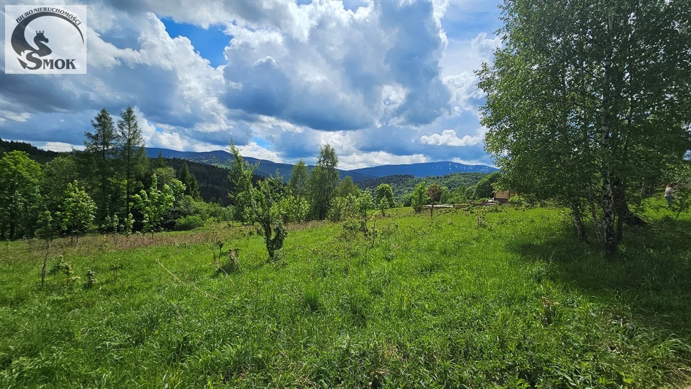 Działka budowlana na sprzedaż Jaworskie  3 250m2 Foto 2