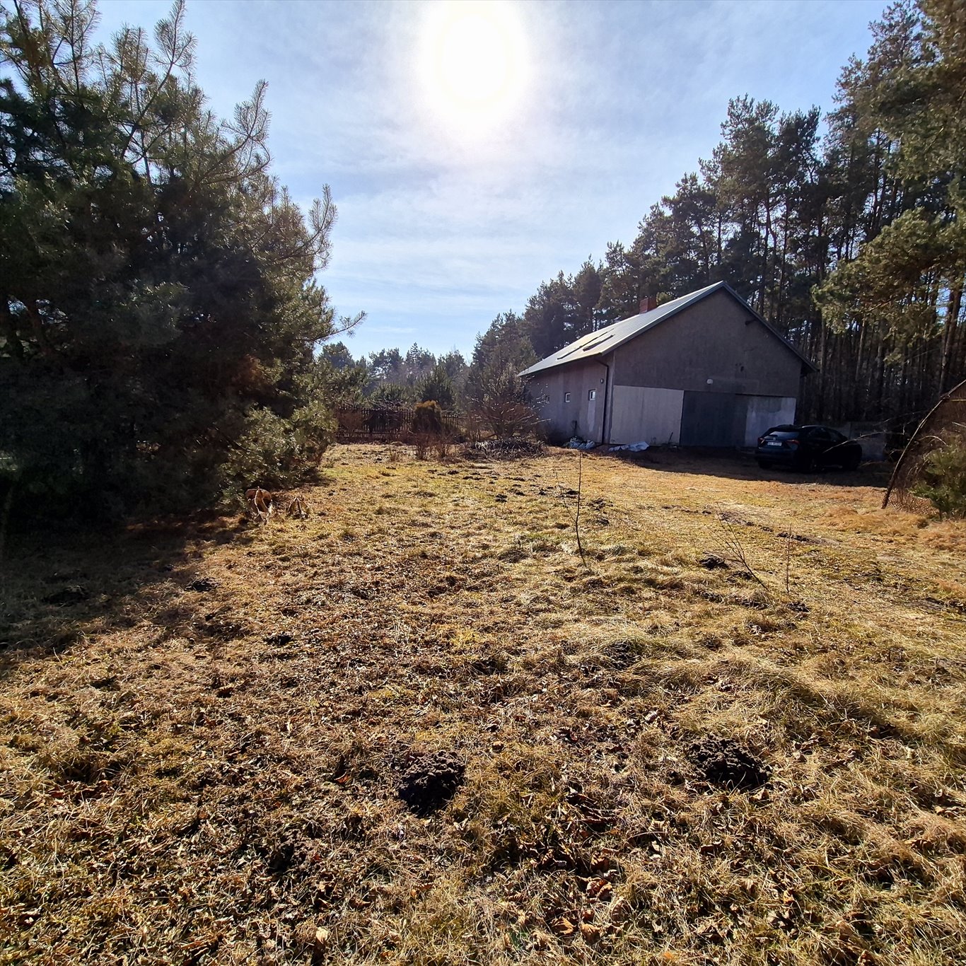 Magazyn na sprzedaż Strobów  200m2 Foto 3