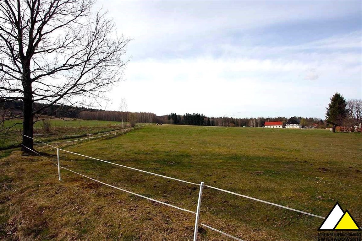 Działka rolna na sprzedaż Mała Kamienica, Stara Kamienica  15 500m2 Foto 10