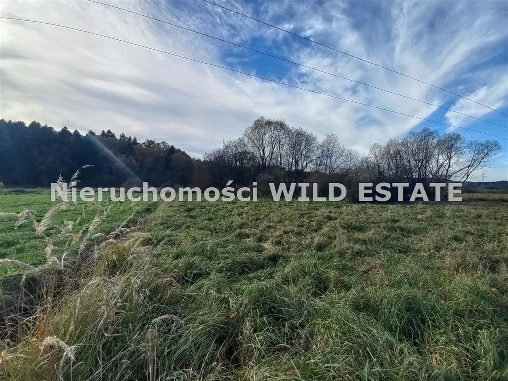 Działka rolna na sprzedaż Olszanica, Uherce Mineralne  6 606m2 Foto 3