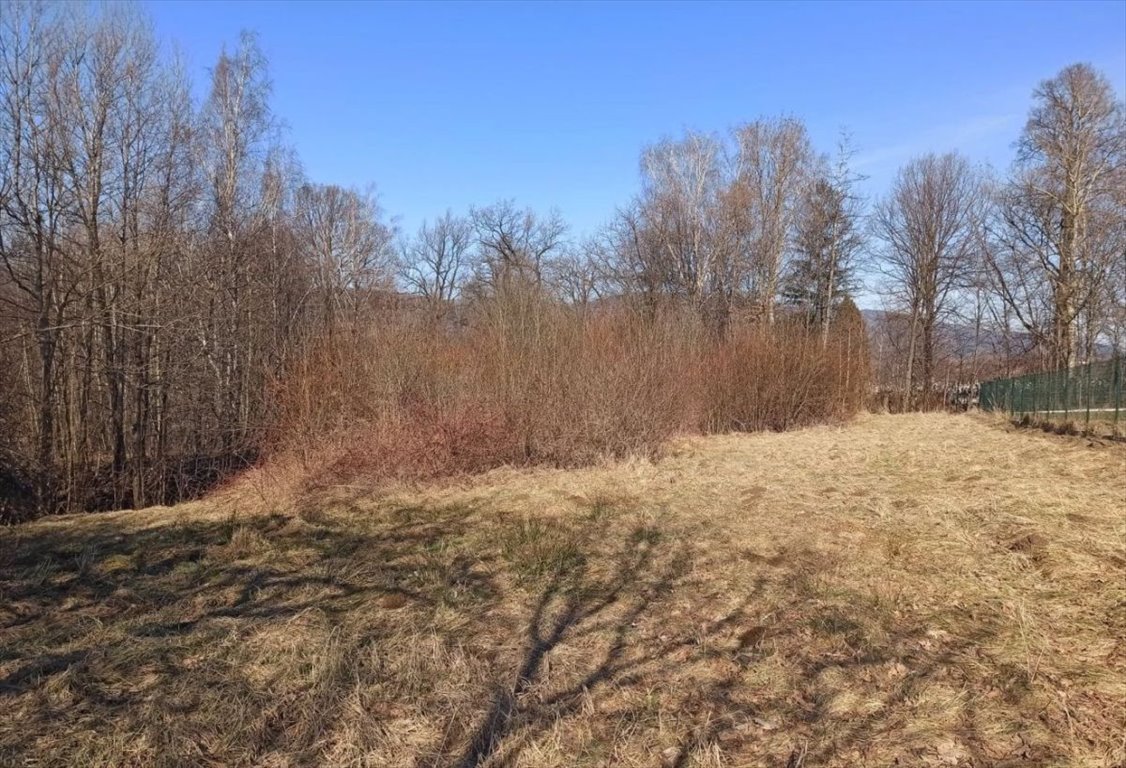 Działka budowlana na sprzedaż Milówka  1 300m2 Foto 7