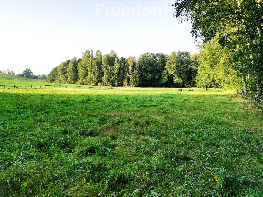 Działka inna na sprzedaż Urowo, Murawki  6 600m2 Foto 7