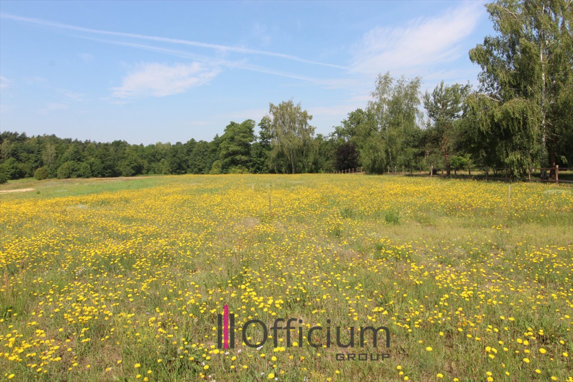 Działka budowlana na sprzedaż Gościeńczyce  3 000m2 Foto 3