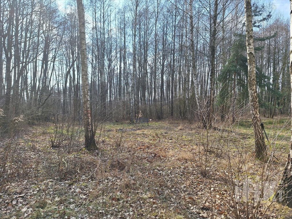 Działka budowlana na sprzedaż Zaręby  4 700m2 Foto 1