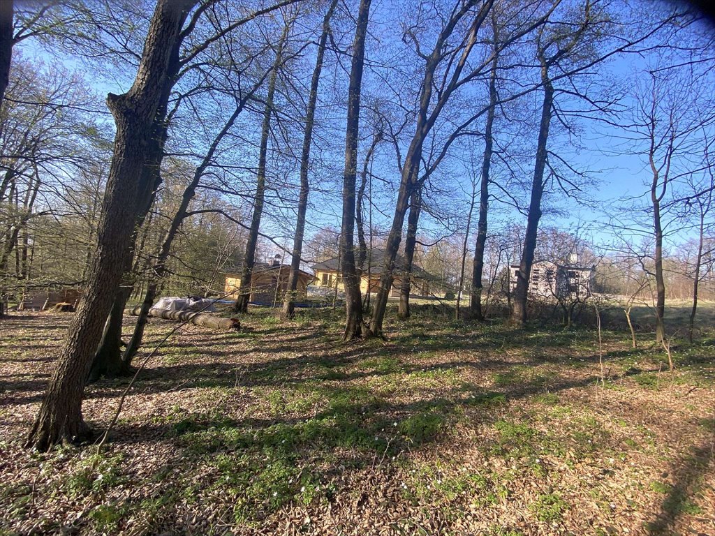 Działka budowlana na sprzedaż Ustroń, Ustroń, Działkowa  1 998m2 Foto 5