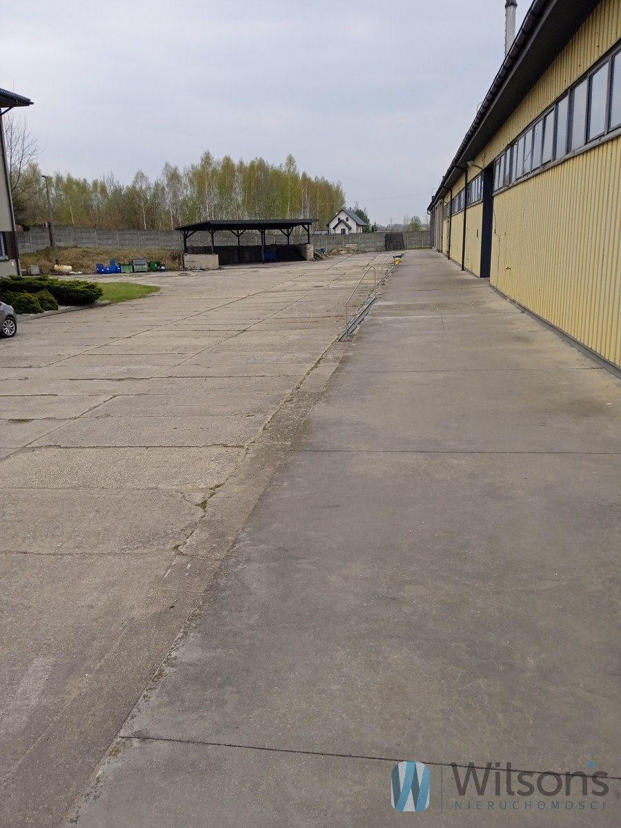 Zdjęcie 5