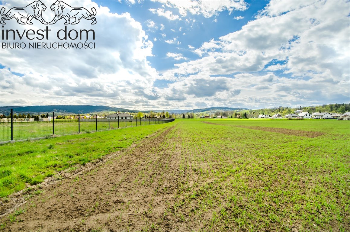 Działka przemysłowa 8,2 ha z pełnym dostępem do infrastruktury Sękowa  8 223m2 Foto 1