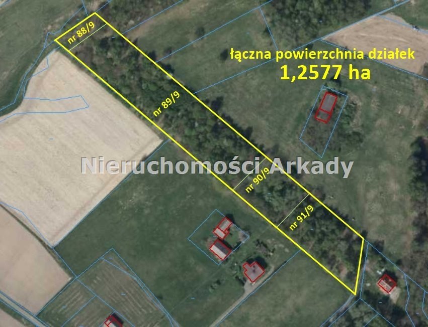 Duża działka rolna 12 577 m² z drzewami i wodą Pstrążna, Podleśna (1)  12 577m2 Foto 1
