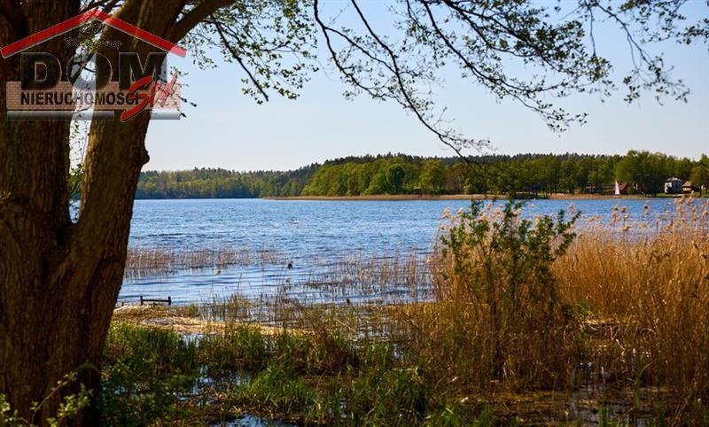 Działka budowlana na sprzedaż Gudowo  8 000m2 Foto 10