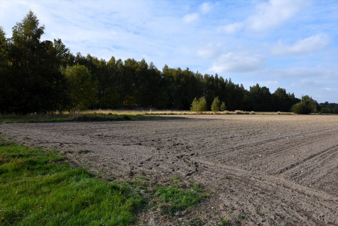 Działka budowlana na sprzedaż Borkowice  900m2 Foto 4