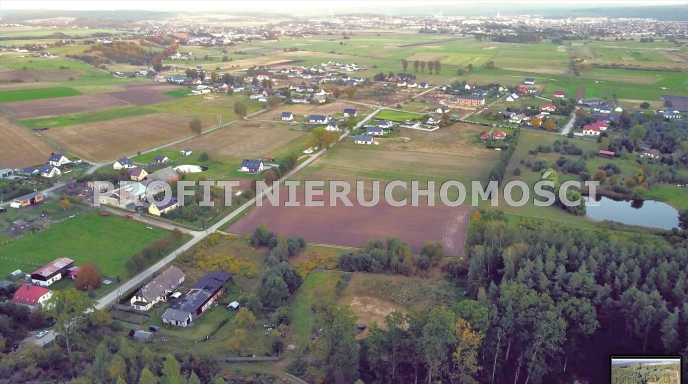 Działka rolna na sprzedaż Nowa Wieś Lęborska  3 974m2 Foto 5