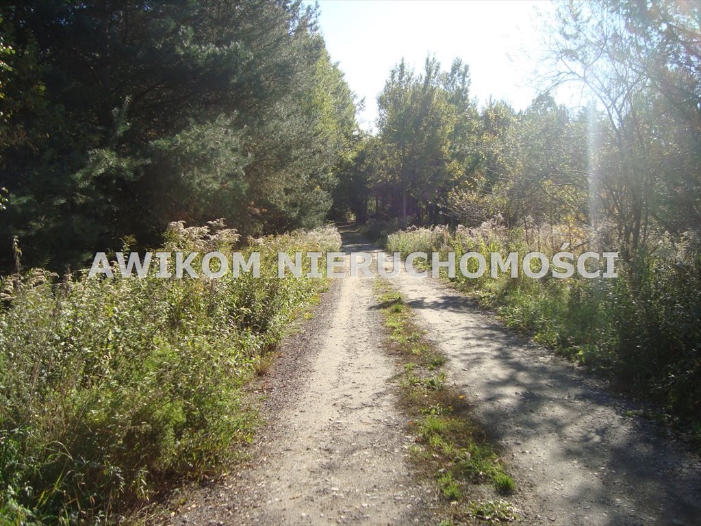 Działka budowlana pod lasem w Żelechowie – 2164 m2 Żelechów  2 164m2 Foto 1