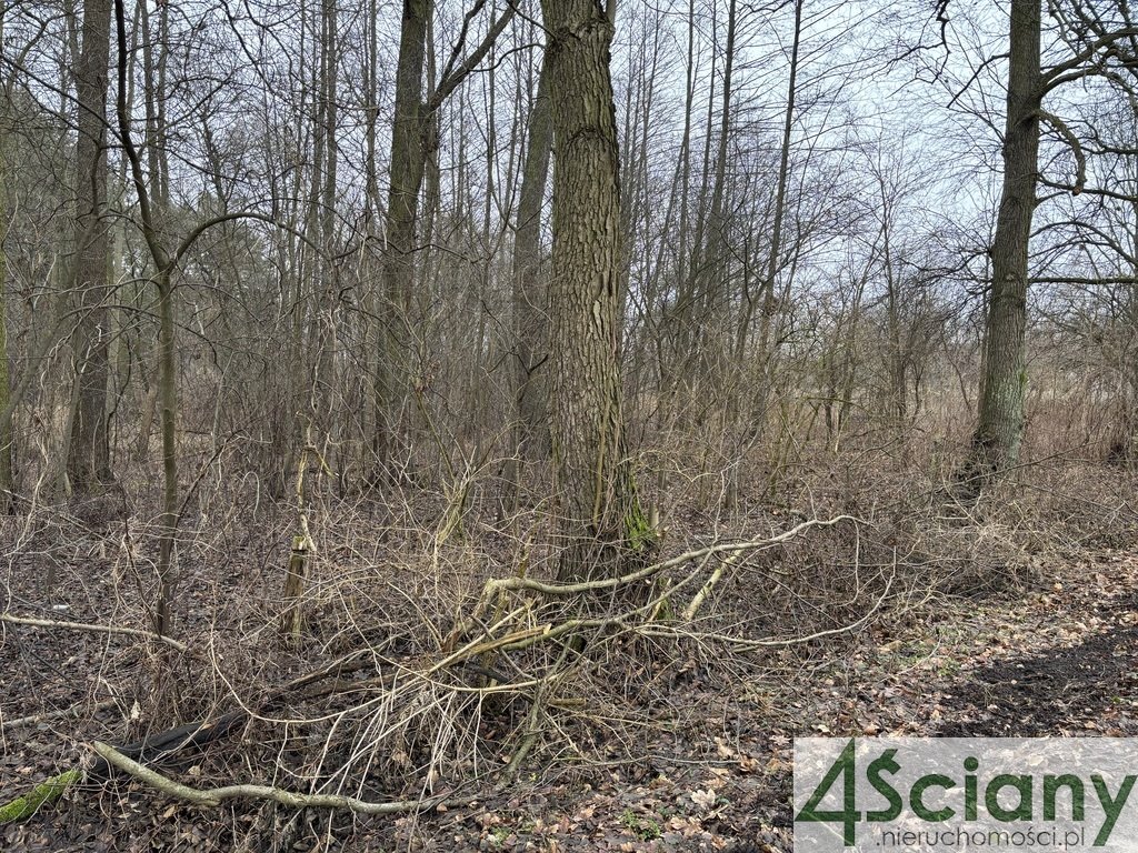 Działka rolna na sprzedaż Stare Polesie  3 000m2 Foto 6