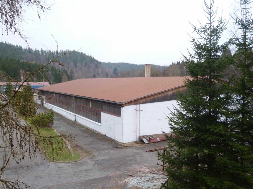 Lokal użytkowy na sprzedaż Szczytna  8 500m2 Foto 3