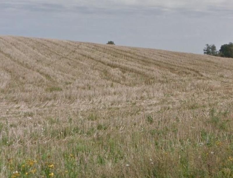 Działka rolna na sprzedaż Szczecinek, Mosina  70 800m2 Foto 5