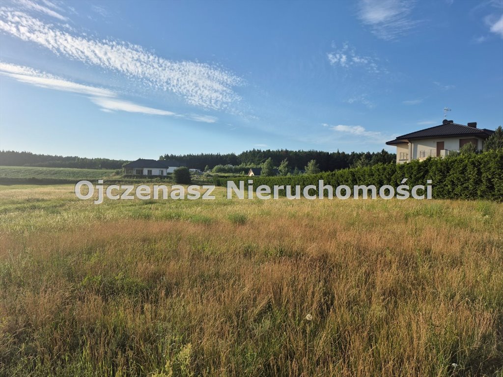 Sprzedam działkę 6 500 m² z mediami w Dąbrówce Nowej Dąbrówka Nowa  6 500m2 Foto 1