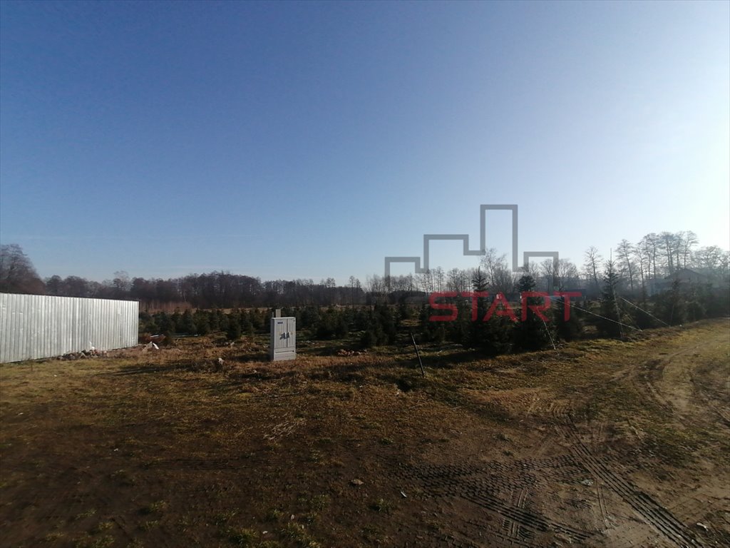 Działka siedliskowa na sprzedaż Grądy  3 000m2 Foto 4