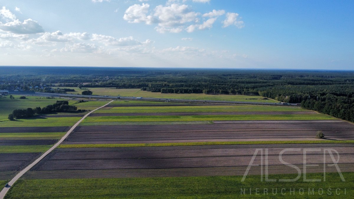 Działka inwestycyjna na sprzedaż Trzcianka  12 646m2 Foto 6