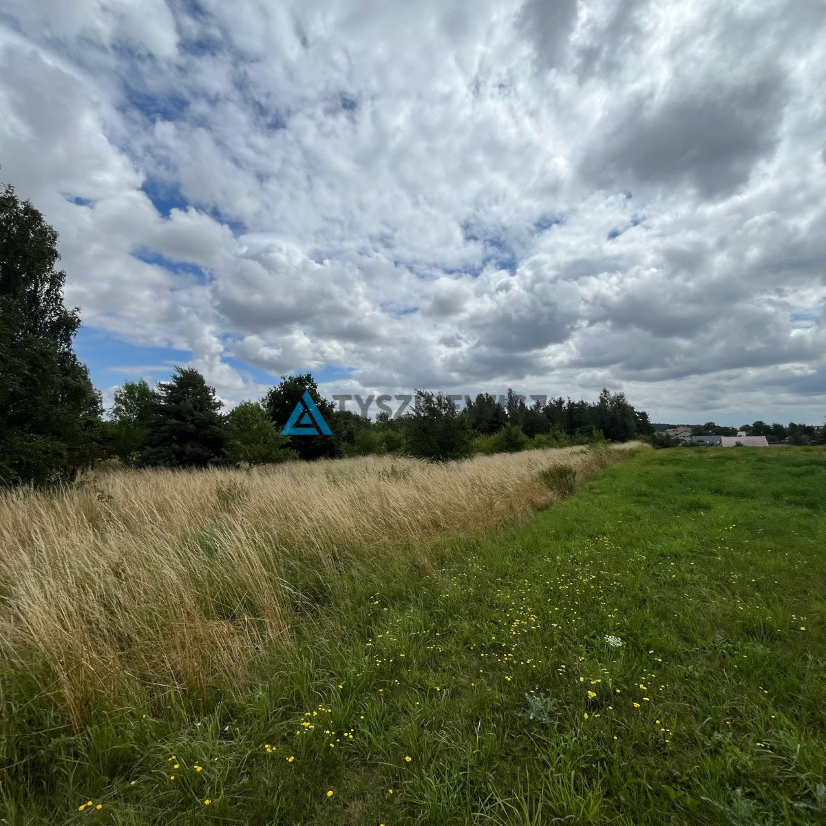 Działka budowlana na sprzedaż Trąbki Małe  3 050m2 Foto 5