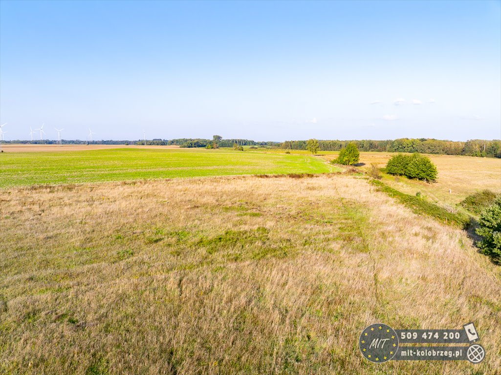 Działka budowlana na sprzedaż Daszewo  1 222m2 Foto 7