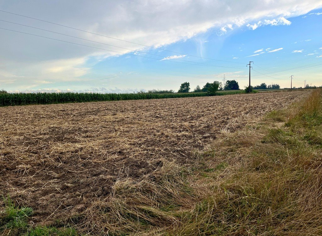 Działka budowlana na sprzedaż Sonina  1 600m2 Foto 3