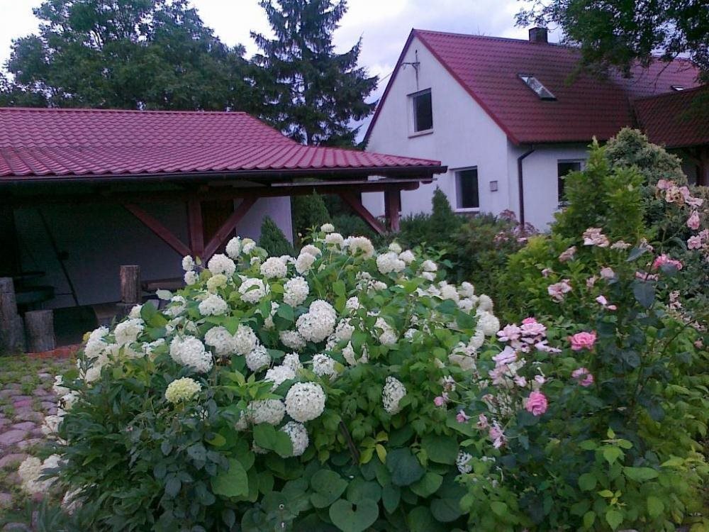 Dom 2800 m² z basenem i ogrodem w Łowinkach zapraszam Łowinek  400m2 Foto 1