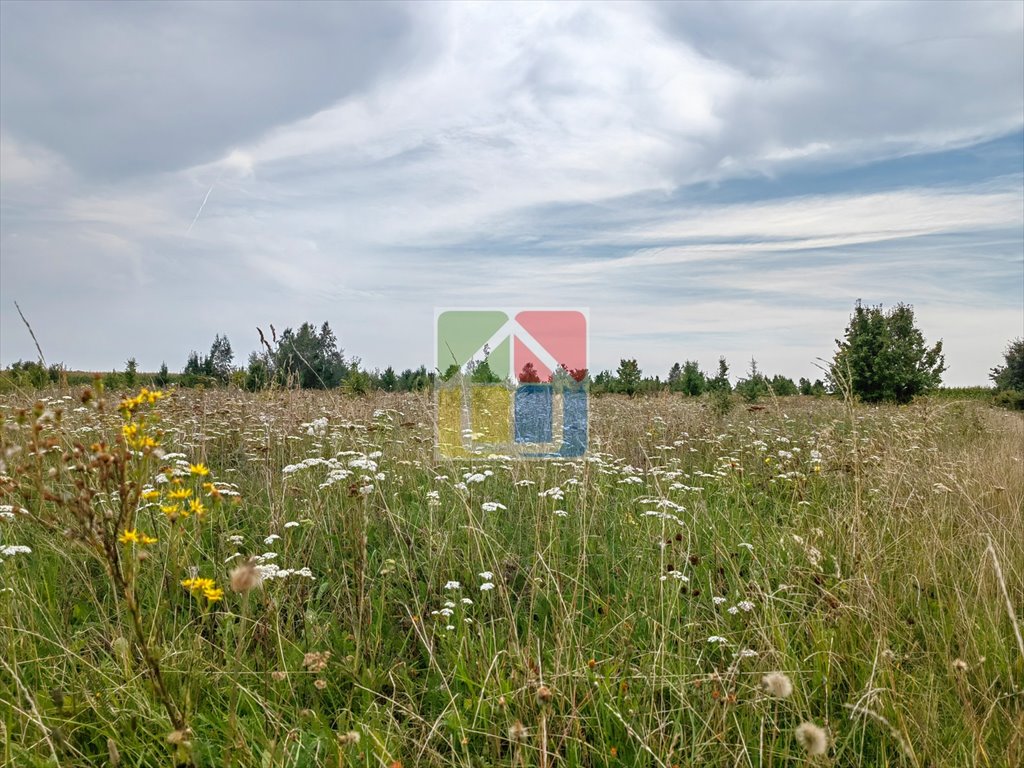 Działka 4,72 ha z budynkiem i mediami, blisko natury Szczawin Kościelny  47 200m2 Foto 1