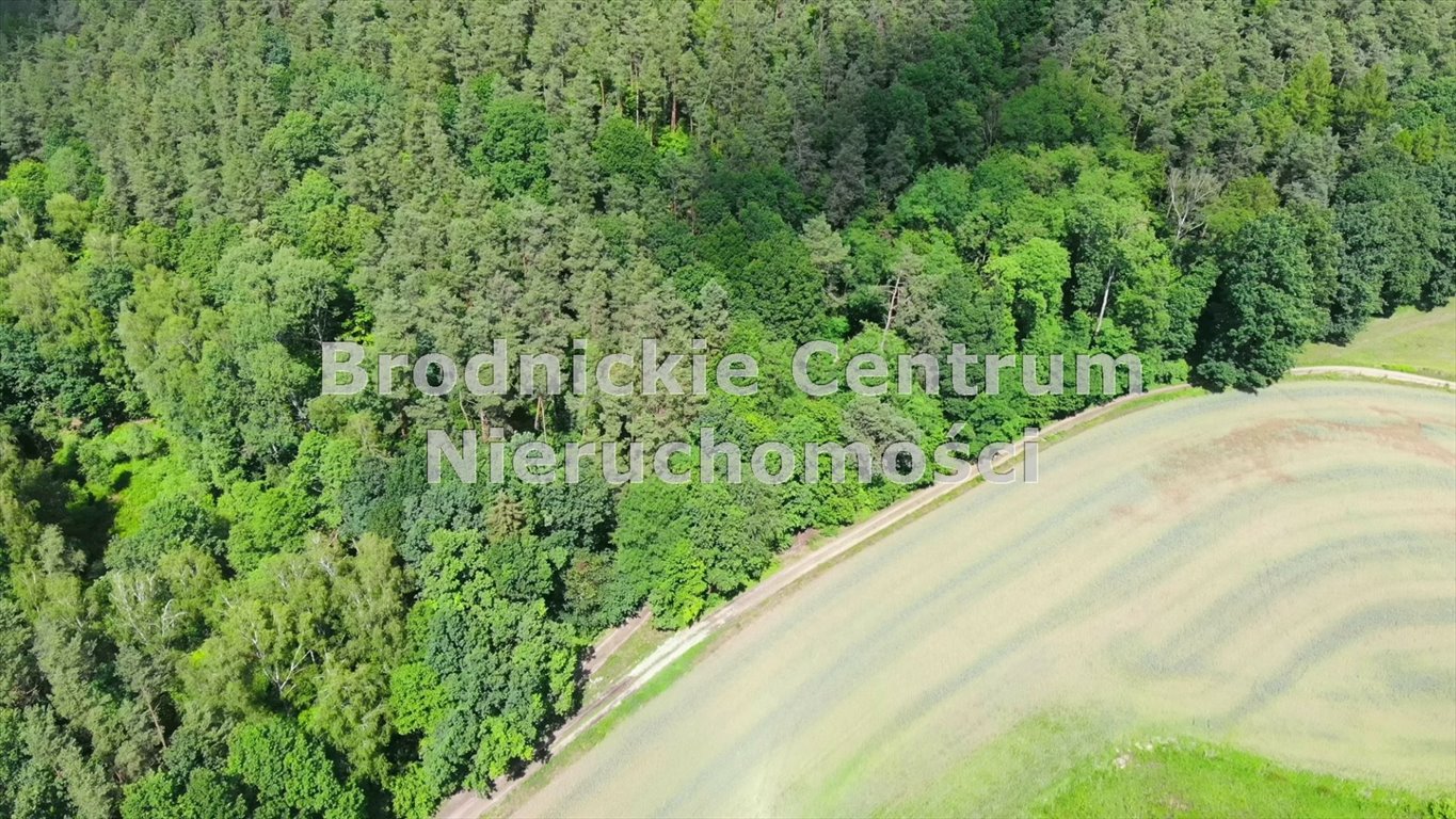 Działka inwestycyjna na sprzedaż Gaj-Grzmięca  3 010m2 Foto 18