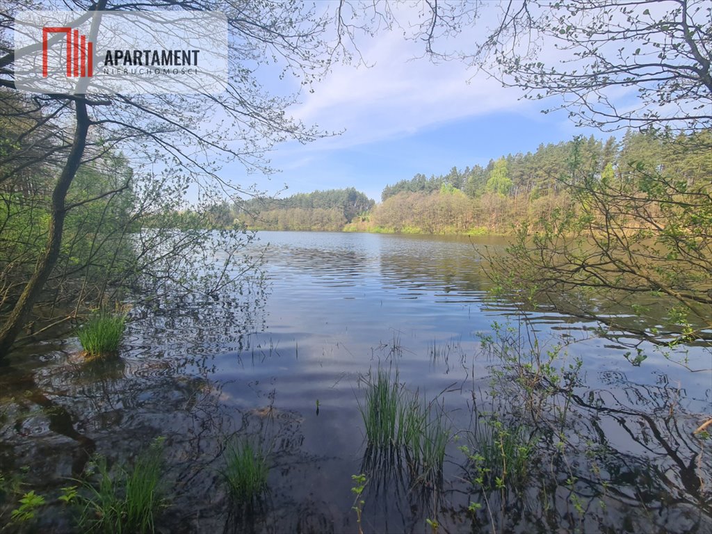 Działka siedliskowa na sprzedaż Nowa Wieś Kościerska  3 329m2 Foto 11