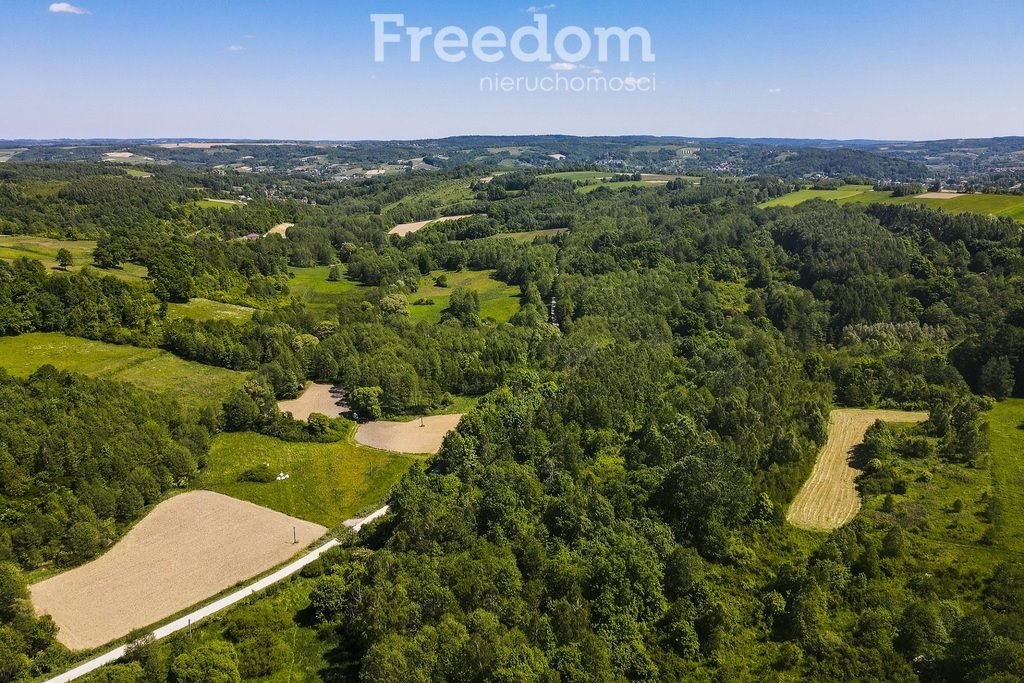 Działka inwestycyjna na sprzedaż Błażowa Górna  78 800m2 Foto 9