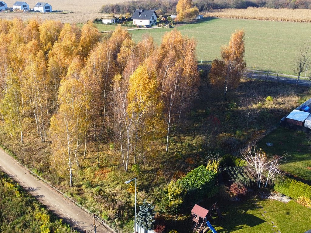 Działka 1544 m2 z pięknymi brzozami i pełną infrastrukturą Sady, Topolowa  1 544m2 Foto 1