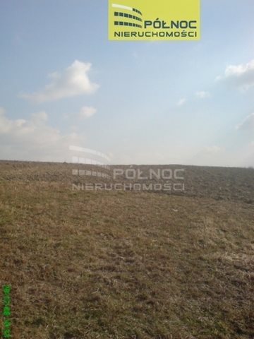 Działka budowlana na sprzedaż Orłów  10 271m2 Foto 5