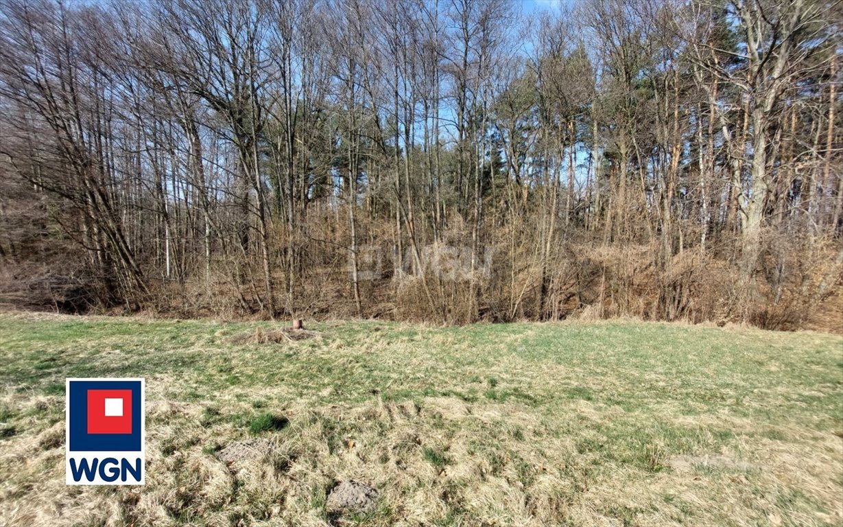 Urokliwy dom na skarpie z lasem, 180 m2, pełna prywatność Dębinka, Dębinka  180m2 Foto 1