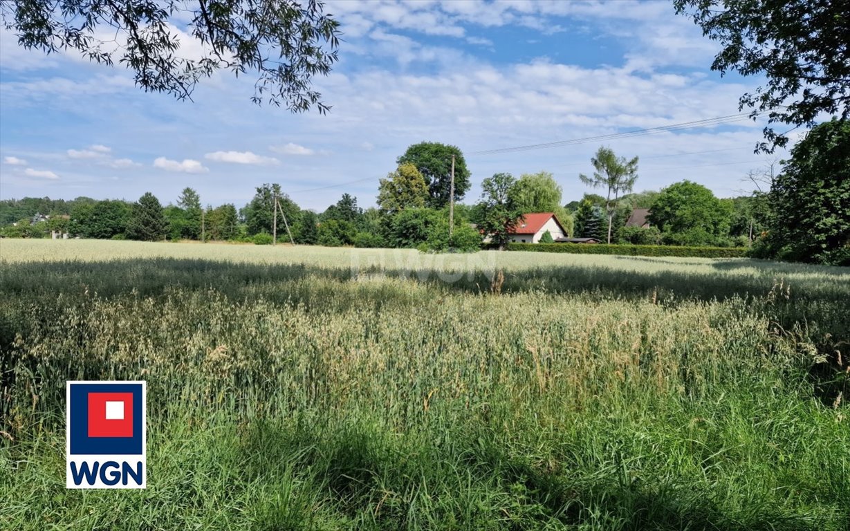 Działka budowlana na sprzedaż Skoczów, Pogórze  2 749m2 Foto 2