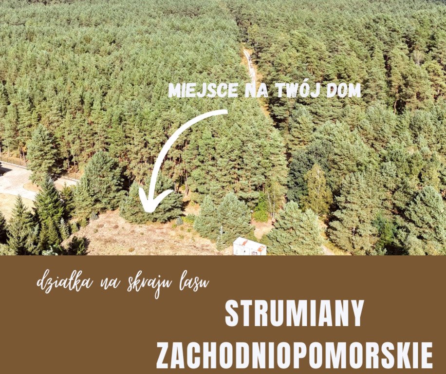 Działka budowlana na sprzedaż Strumiany  2 847m2 Foto 1