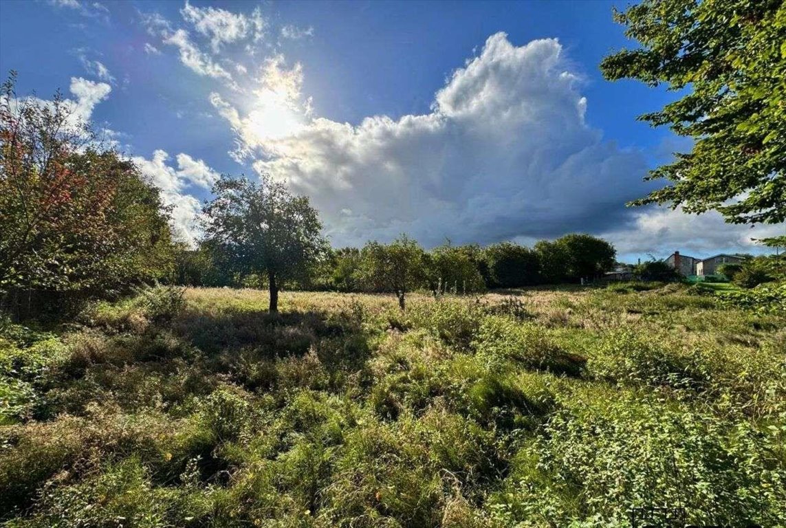 Działka budowlana na sprzedaż Gorzyno  5 800m2 Foto 13