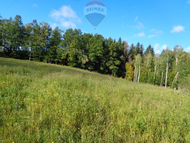 Działka budowlana na sprzedaż Ogrodniki  14 562m2 Foto 17