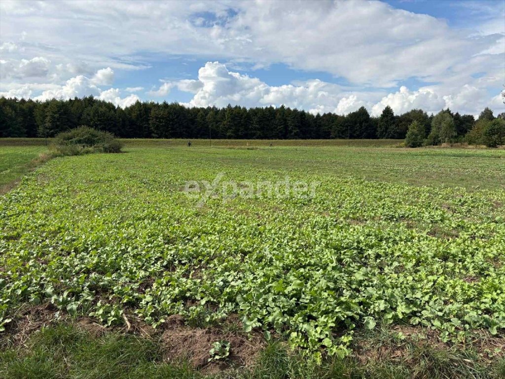 Działka 2345 m² z mediami, blisko rekreacji i natury Kalisz, Rajsków  2 345m2 Foto 1