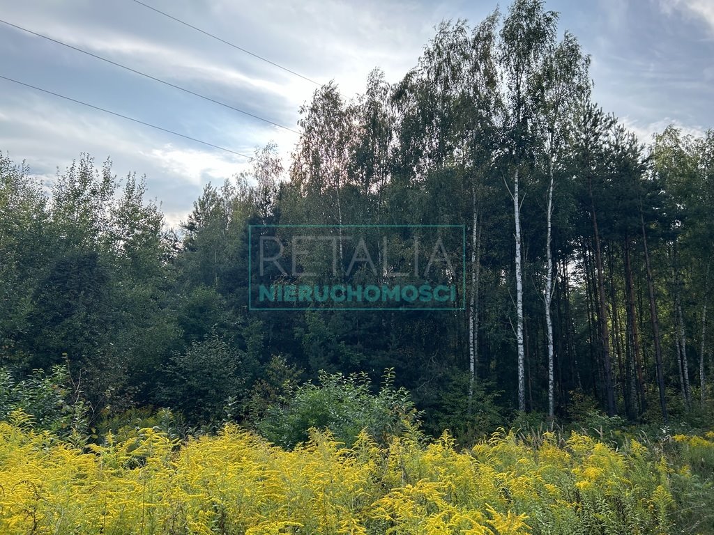 Działka budowlana na sprzedaż Radziejowice  3 000m2 Foto 1