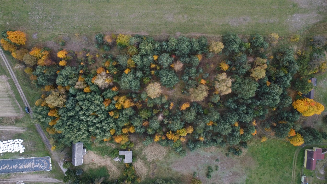 Działka budowlana na sprzedaż Cielętniki  13 500m2 Foto 4