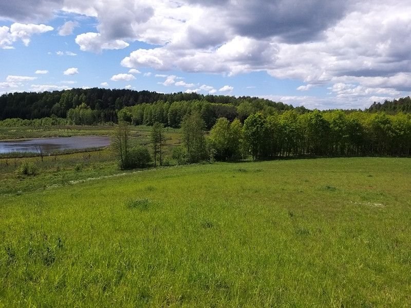 Działka rolna na sprzedaż Nowosady  22 800m2 Foto 4