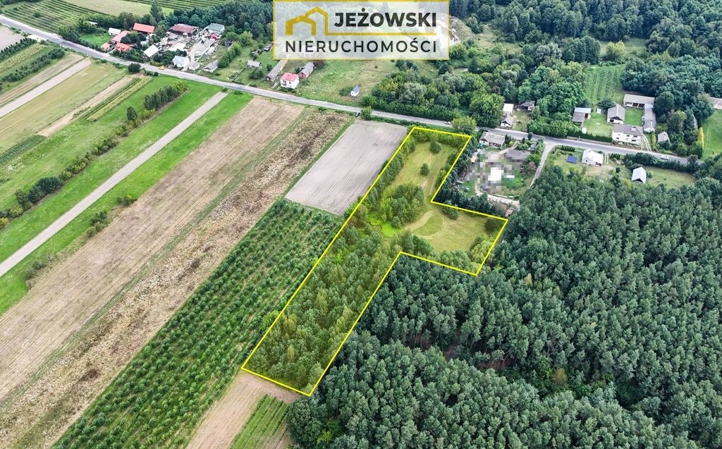 Działka budowlana na sprzedaż Mazanów  11 027m2 Foto 9