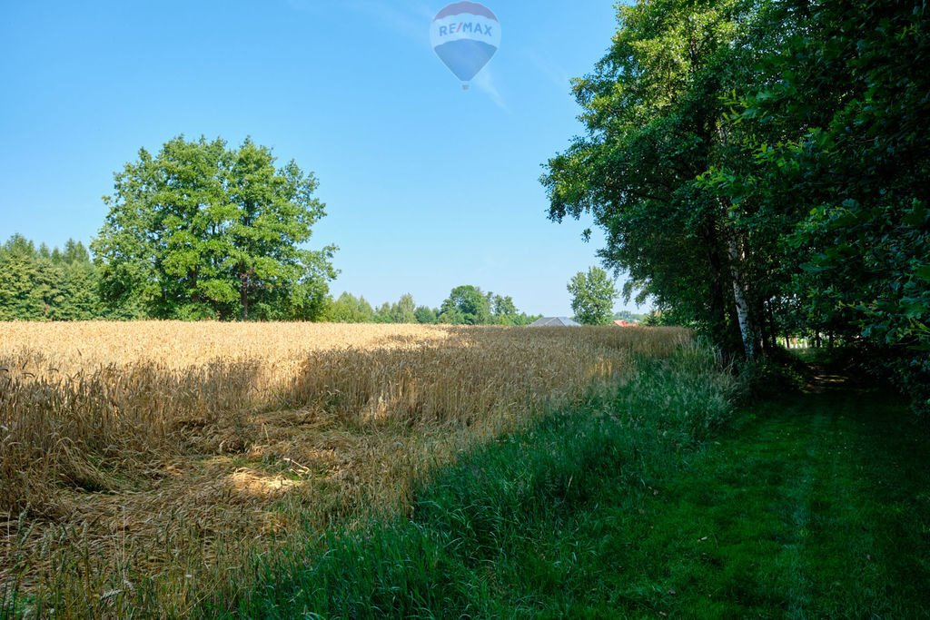 Działka rolna na sprzedaż Czaniec  4 082m2 Foto 18