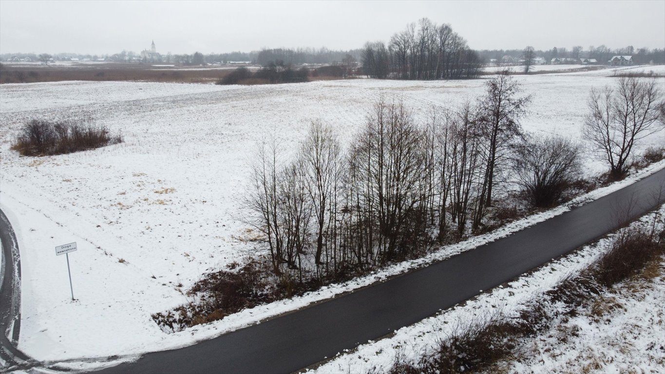 Działka rolna na sprzedaż Dębina  8 902m2 Foto 6