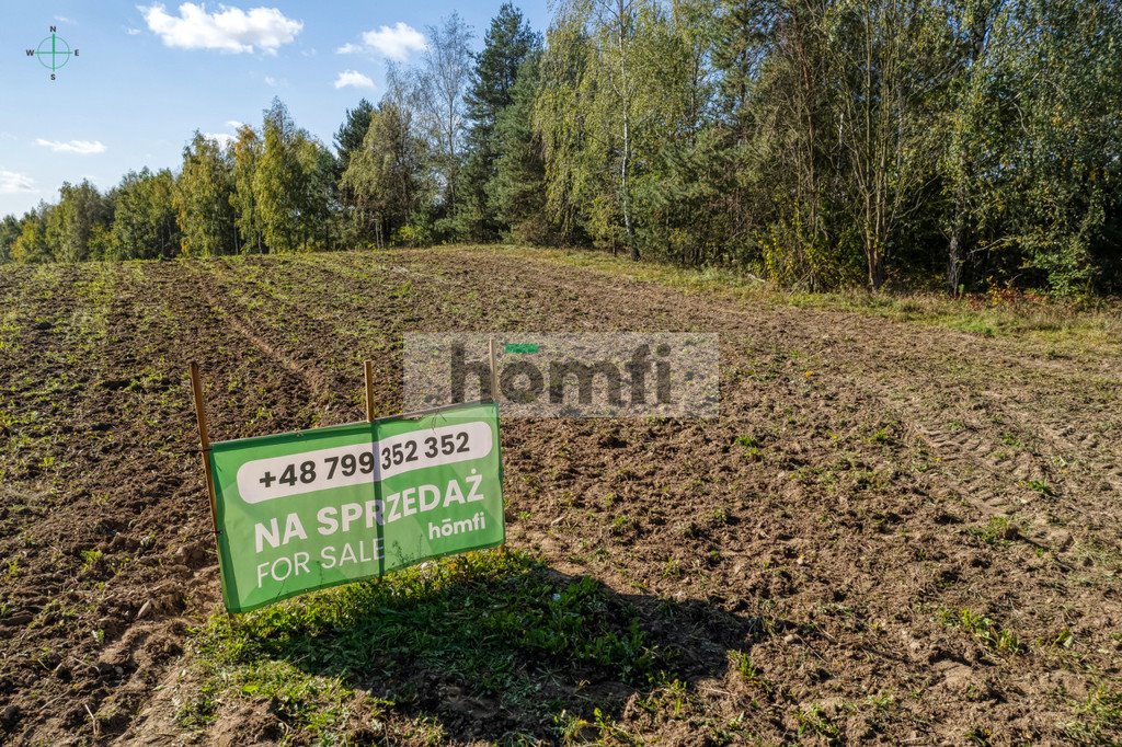 Działka budowlana na sprzedaż Brzeziny  4 100m2 Foto 8