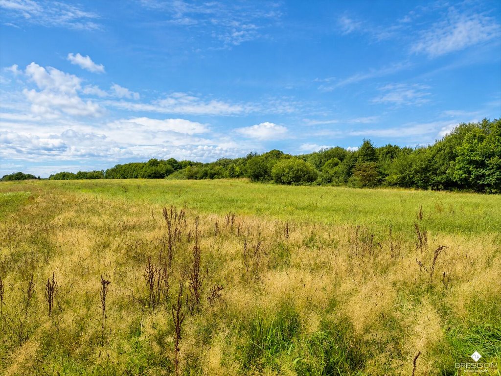 Polecam dużą działkę 50 395 m² w Ogrodnikach z widokiem i naturalnym drzewostanem Ogrodniki  50 395m2 Foto 1