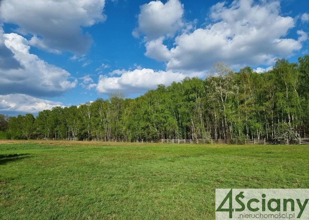 Działka budowlana na sprzedaż Opypy  3 000m2 Foto 1