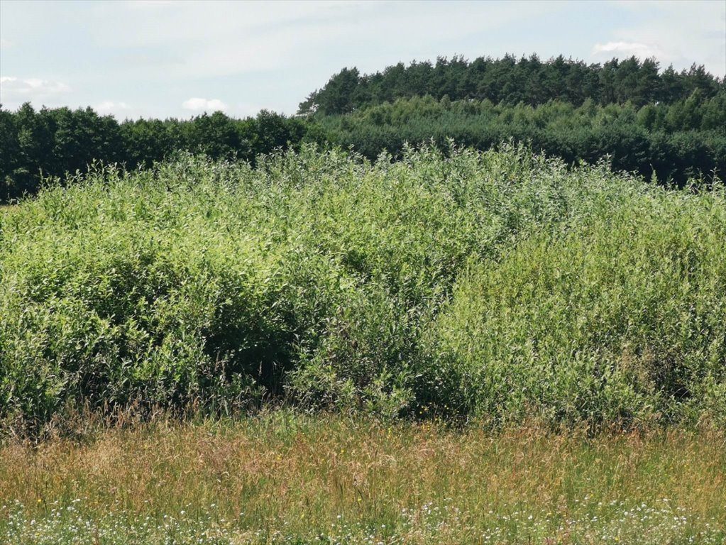 Działka rolna na sprzedaż Kleszczyna  27 800m2 Foto 11