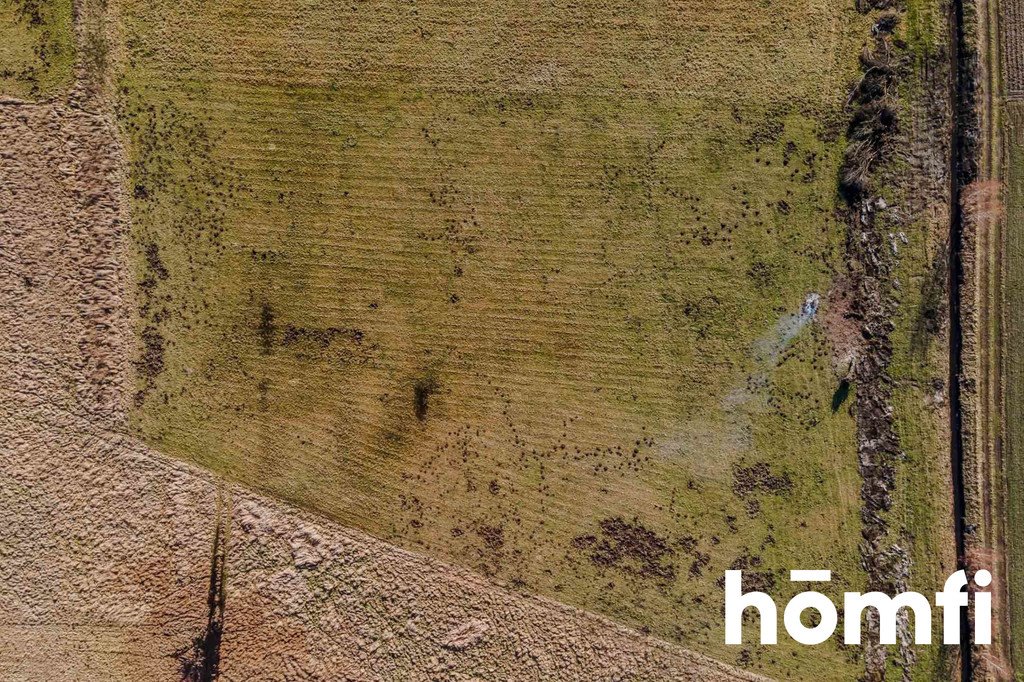 Duża działka 1 ha w Nieborowie z potencjałem inwestycyjnym Nieborów, Łąkowa  10 000m2 Foto 1